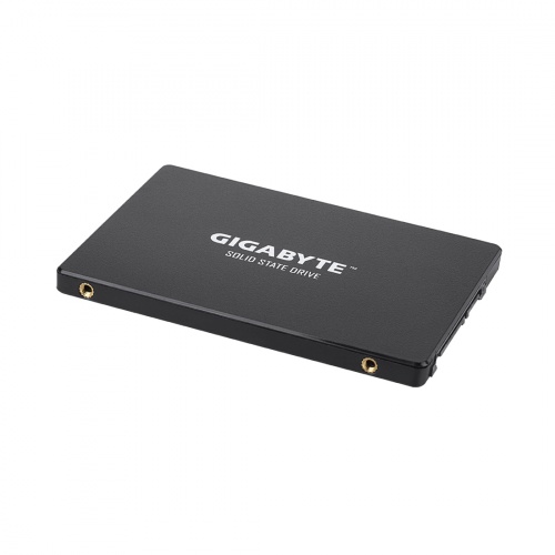 Твердотельный накопитель внутренний Gigabyte GSTFS31256GTND фото 3