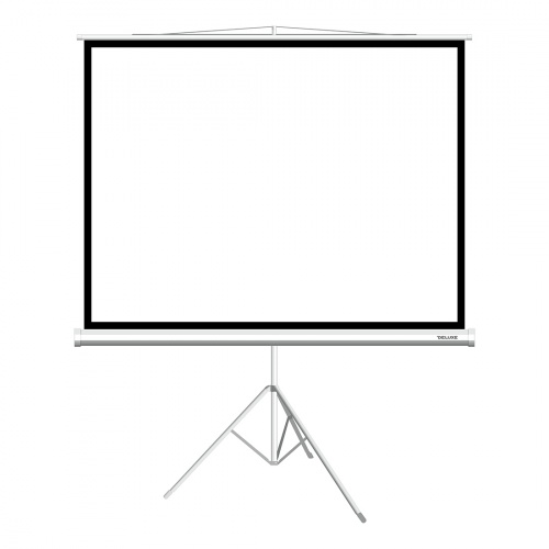 Экран на треноге Deluxe DLS-T203x154W (80"х60"), Ø - 100", Раб. поверхность 203х154 см., 4:3 фото 2