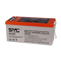 Аккумуляторная батарея SVC VPD12200 12В 200 Ач (522*239*217)