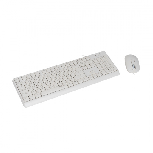 Комплект Клавиатура + Мышь Rapoo X130PRO White фото 2