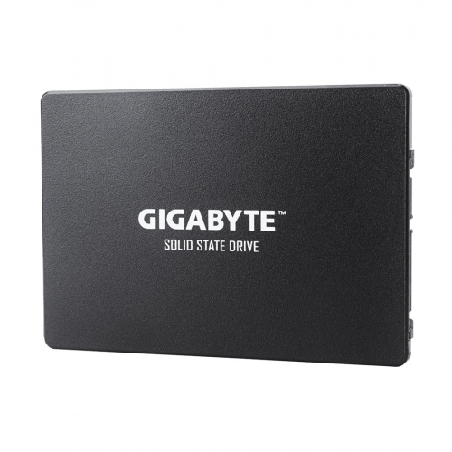 Твердотельный накопитель внутренний Gigabyte GP-GSTFS31100TNTD фото 3