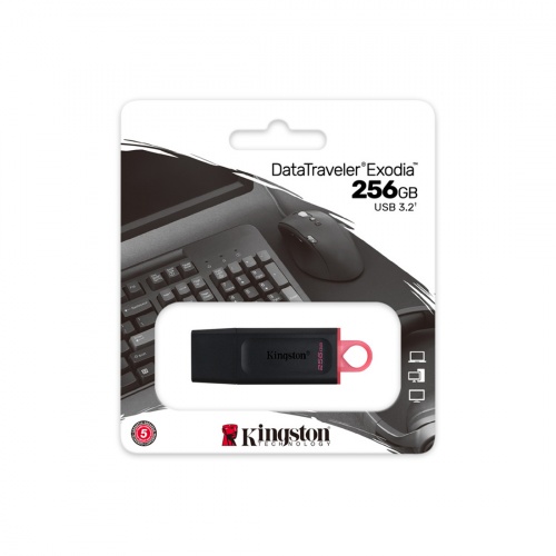 USB-накопитель Kingston DTX/256GB 256GB Чёрный фото 4