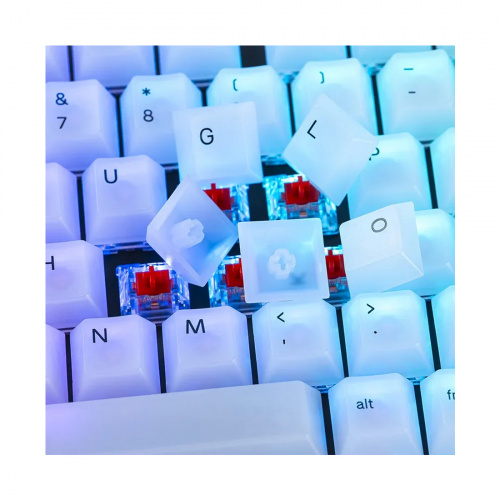 Набор кнопок на клавиатуру Glorious Polychroma RGB (GLO-KC-POLY-RGB) фото 4
