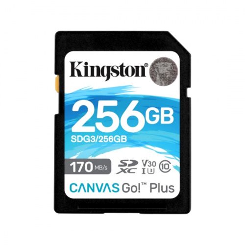 Карта памяти Kingston SDG3/256GB SD 256GB фото 3