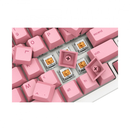 Набор кнопок на клавиатуру Glorious GPBT Keycaps Grapefruit (GLO-KC-GPBT-PG) фото 4